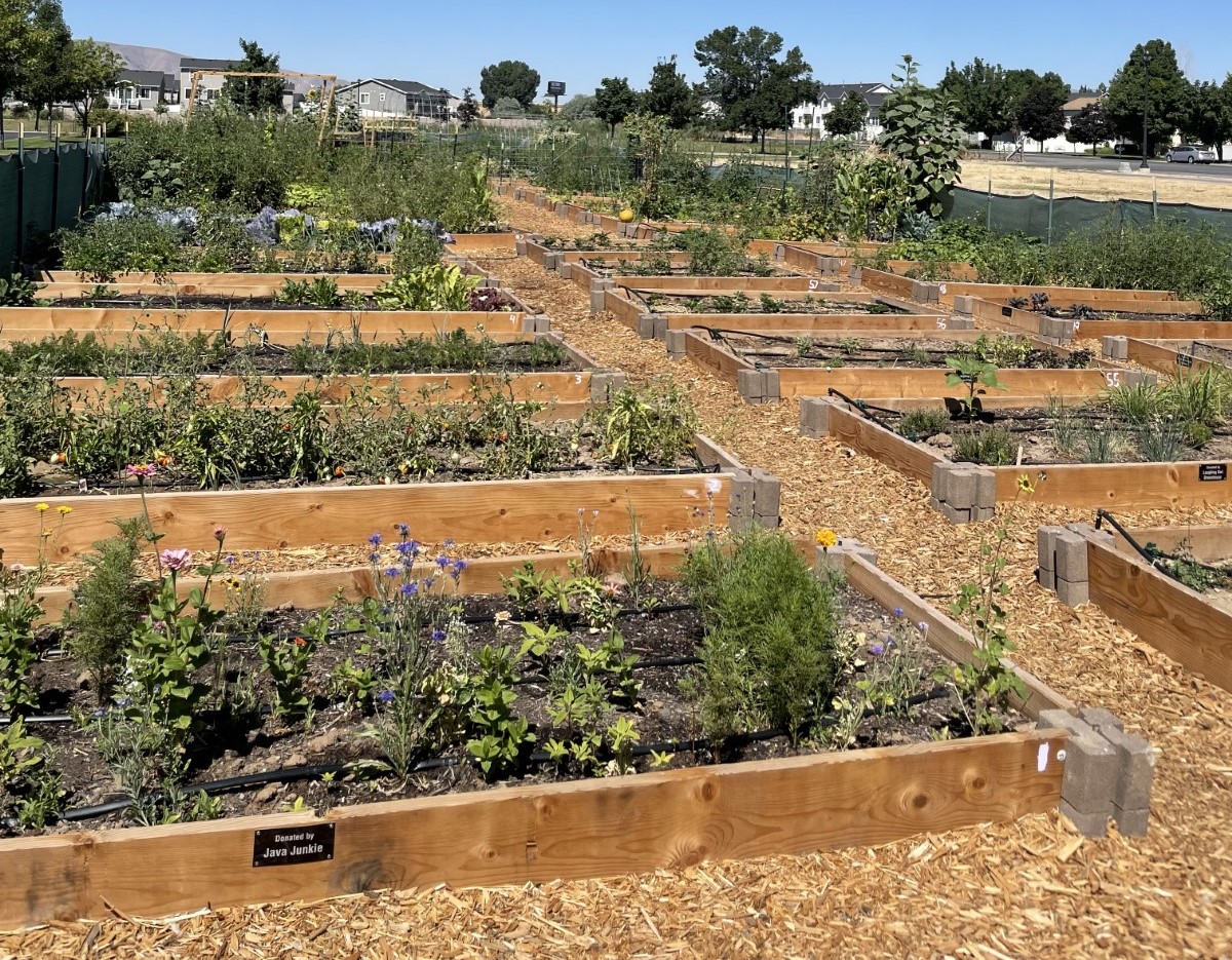 Hillcrest Bank Rowan's Community Garden